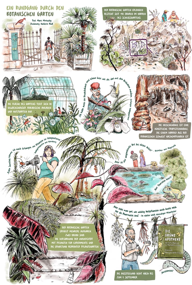 Comicreportage Botanischer Garten Erlangen