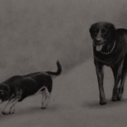 Hundefreunde A4