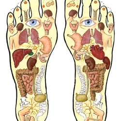 Fußreflexzonen _ „Mein Neues Bad“ Strobel Verlag