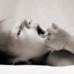 babies03