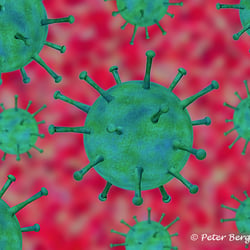 Virus – 3d Illustration