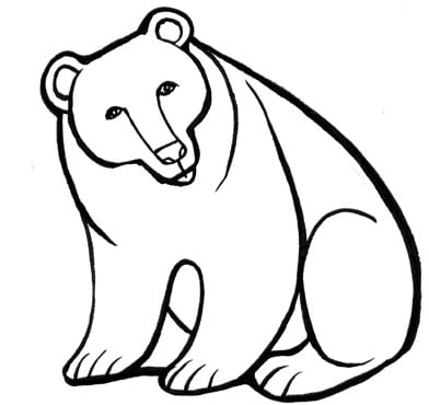 Braunbär