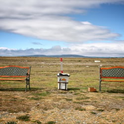 Pampa bei Puerto Madryn