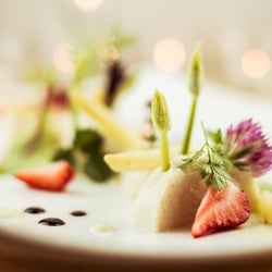 Food 1