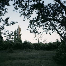 „Roxheim II“