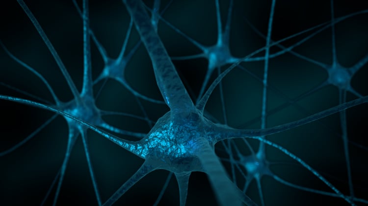Brain Neurons
