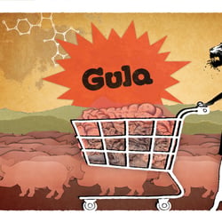Gula