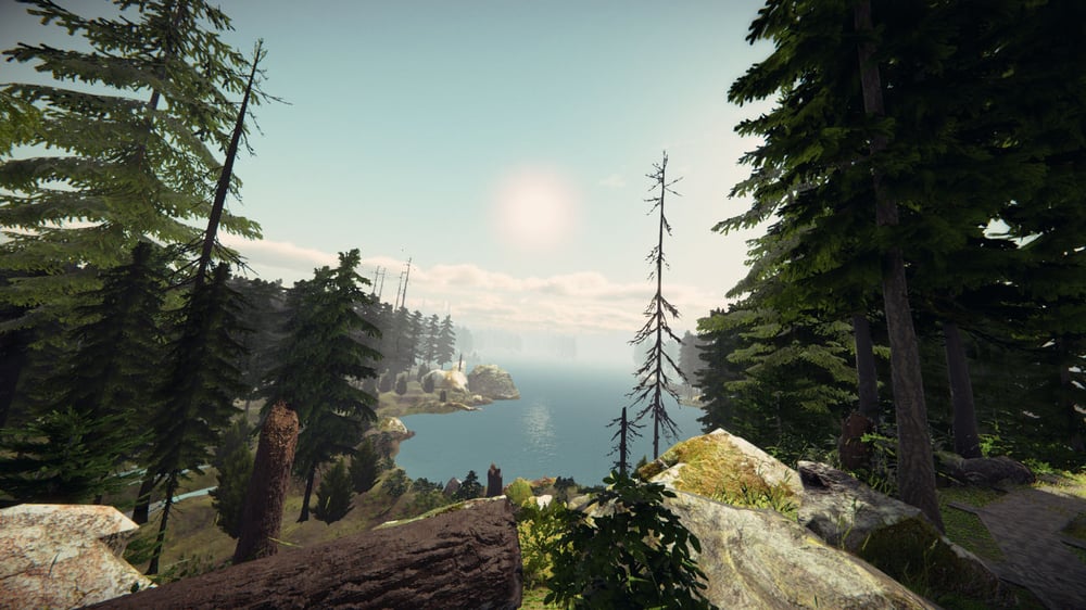 VirtualForest_vr_experience3