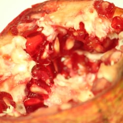 Granatapfel November 2012