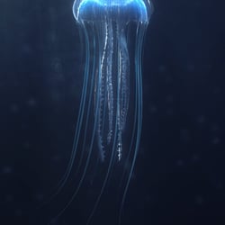 Jellyfish | TiefenWerft