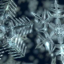 Snowflake FlyingTree corporated //first test