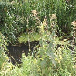 Natur 2012