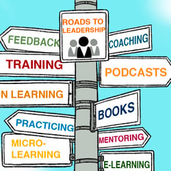 Models and Disruption of the Leadership Development Program