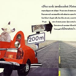 Kinderbuch: Wolle & die Lammfellos