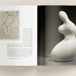Aus KUNST SEHEN, Band 18: Hans Arp
