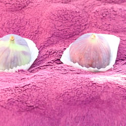 Fruits – Früchte 2012 Feigen