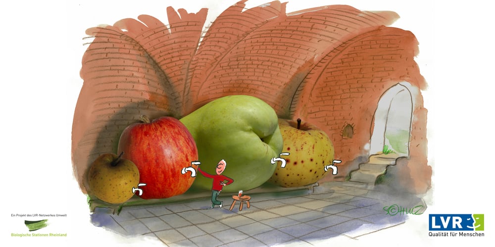Kulturgut Alte Rheinische Obstsorten, aus der Kampagne