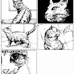 Storyboard Werbung, Fineliner