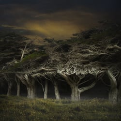 Creative Retouch & Composing