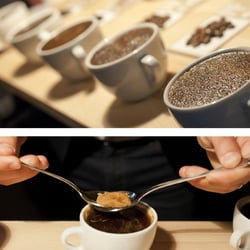 100% Kaffee – ArtHelps Katalog