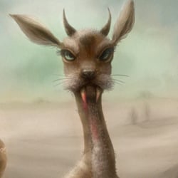Kanga – Close Up