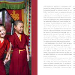 Dalai Lama Mitgefühl Layout
