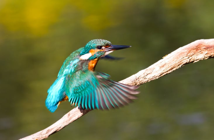 Abflug
