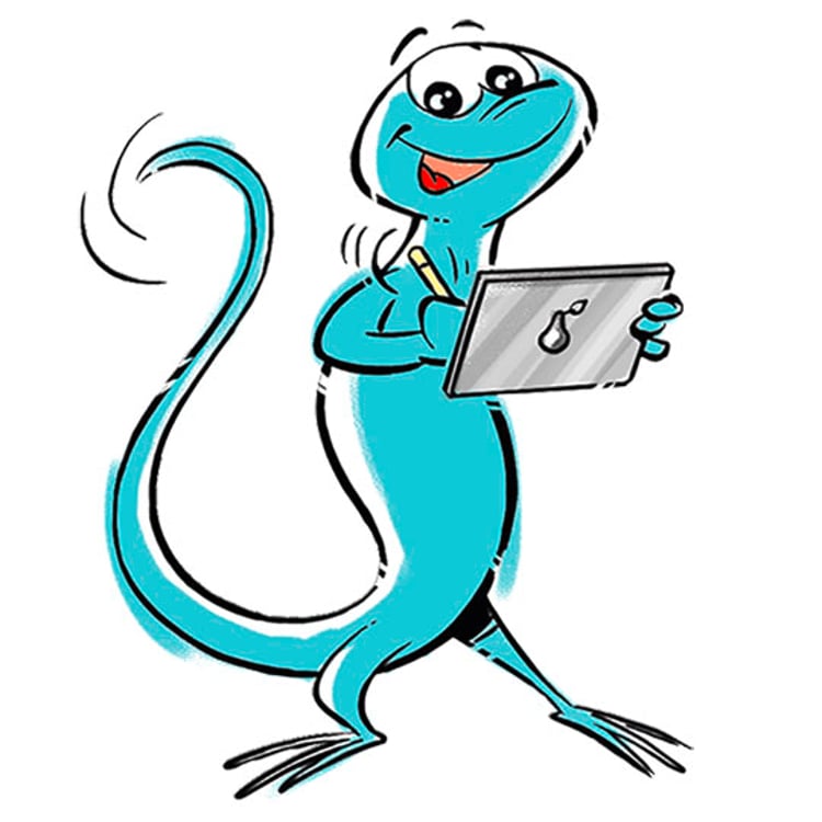 Designlizard Andrea Mangold
