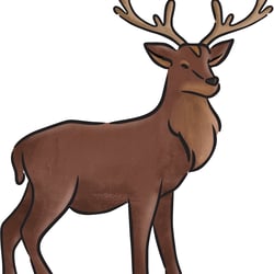 Hirsch