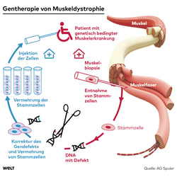 Gentherapie, WELT