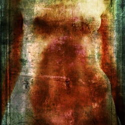 Torso 4012