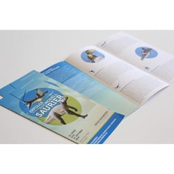 Senckenberg Flyer