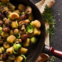 Gnocci