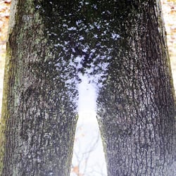 www.danneffel.de 2009 120