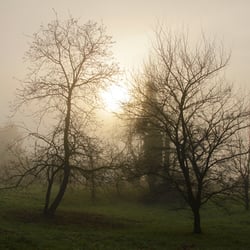 Nebelmorgen 05 1219k