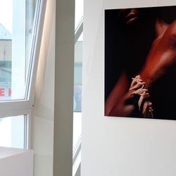Kunstausstellungen