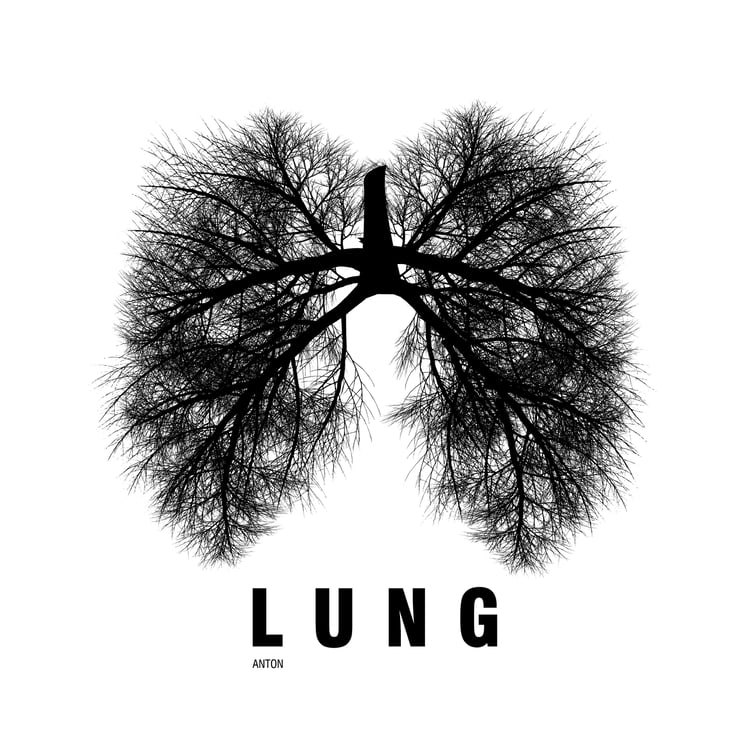 A Lung