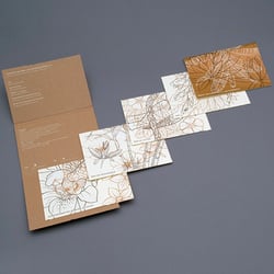 Stern-Design Portfolio 13