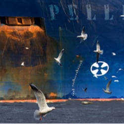 Shipping