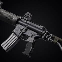Zm Lr-300
