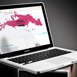 Mit Wix.com erstellte Webseite zur Kampagne