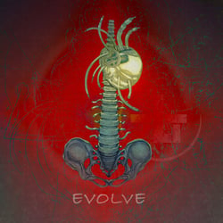 Cover Design Evolve