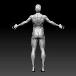 Anatomy Studio
