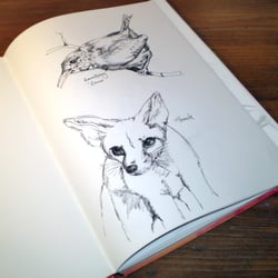 Fuchs
