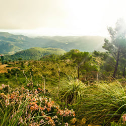 1-PuigDeGalatzo
