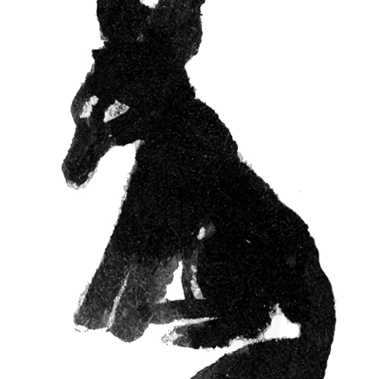 Maria Allefeld