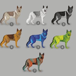 Schäferhund bunt