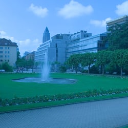 Palmengarten Roh