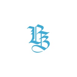 BZ Luxury Real Estate