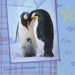 pinguine4a